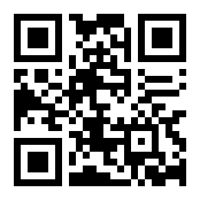 汽油机混合气体形成与燃烧